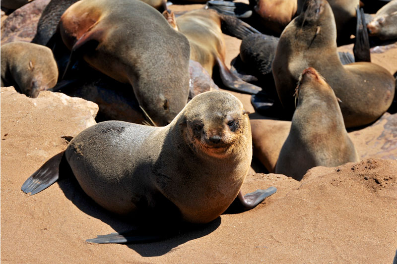 Namibia